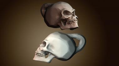 3D модель Стилизованный человеческий череп (STL)