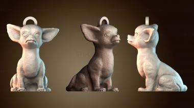 3D модель Кольцо Чихуахуа (STL)