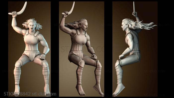 Статуэтки упрощенные Amazon Rider