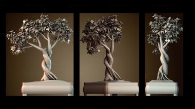 3D модель Дерево бонсай (STL)
