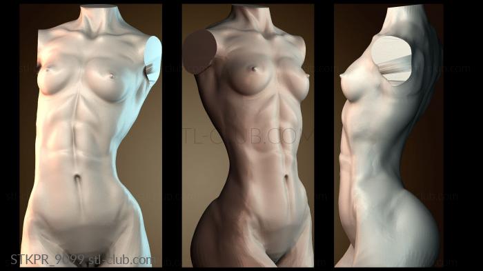 Статуэтки упрощенные Художественная скульптура торса