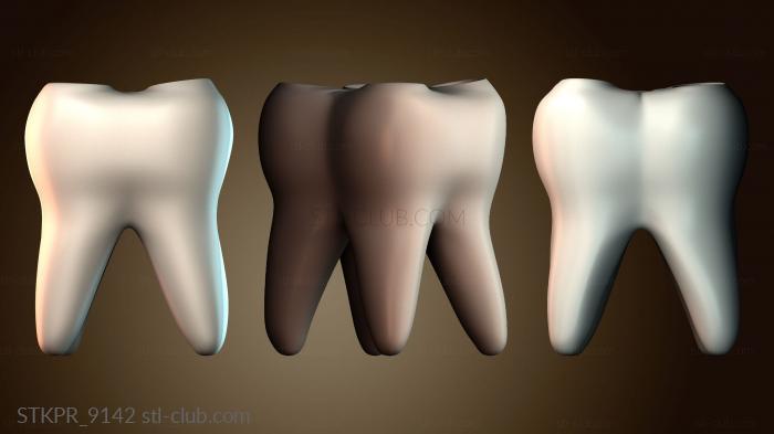 Статуэтки упрощенные Модель анатомии зуба
