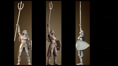 3D модель Женский эльфийский жрец Темптеста (STL)