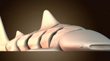3D модель Игрушки акулы (STL)