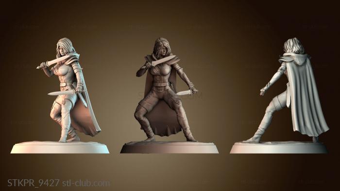 Убийца с двумя мечами