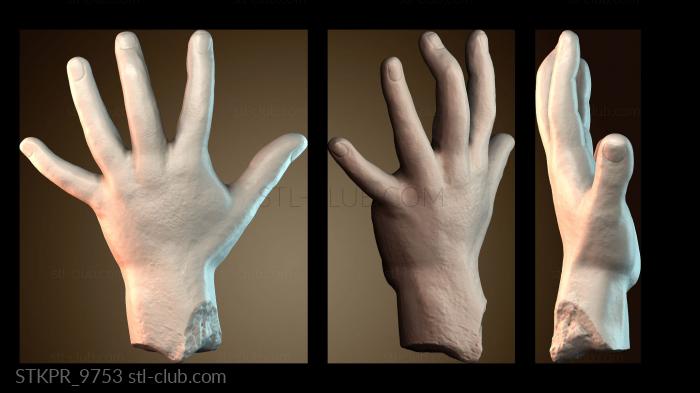 Статуэтки упрощенные Модель руки человека