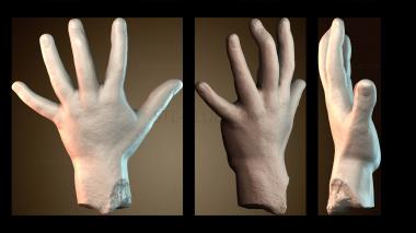 3D модель Модель руки человека (STL)