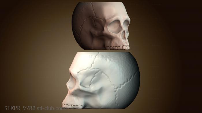 Статуэтки упрощенные Рендер человеческого черепа