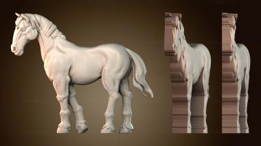 3D модель STKR_2811 (STL)