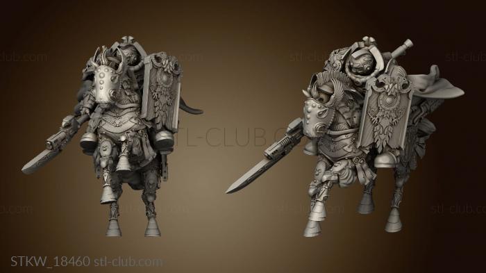 3D модель Кибернетический Плащ Custodes (STL)