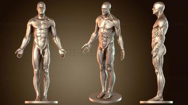 3D модель Лорд-Предок – Сидящий (STL)