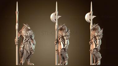 3D модель Birdfolk Aarakocra Extreme (STL)