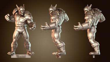 3D модель Игрок Кровавого Кубка с вариантом брони (STL)