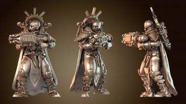 3D модель Небесный Fusion Rifle Guard (STL)