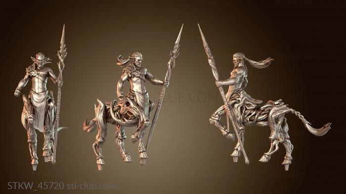 Military Darkwood Centaur Spear Iso