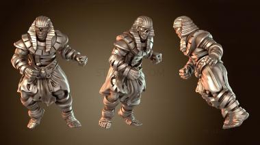 3D модель Мумии пустыни B Ragged (STL)
