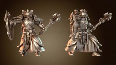 3D модель Destroyer Mace Shield L (STL)
