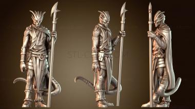 3D модель Таинственный Дракен (STL)