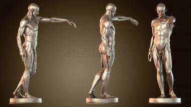 3D модель Экорче (STL)