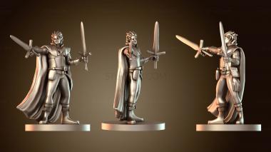 3D модель Бойцы Эльфийский Полуэльф Боец с Двумя Оружиями (STL)
