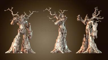 3D модель Гигантский нежнолист (STL)