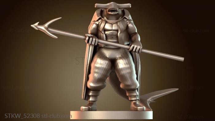 Пират Хамер