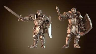 3D модель Герой Герой Паладин Защитник (STL)