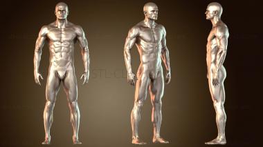 3D модель Человеческая скульптура (STL)