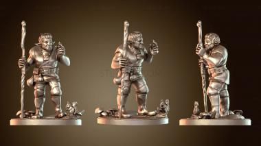 3D модель Друид Заражённых Лесов (STL)