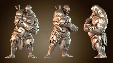 3D модель Травмированный холмовой гигант (STL)