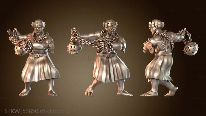 Military Inquisicion линейный защитник проворный