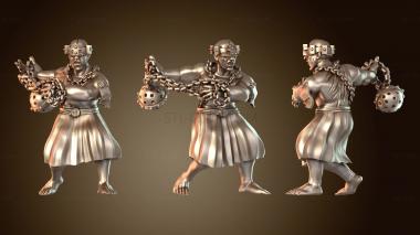 3D модель Inquisicion линейный защитник проворный (STL)