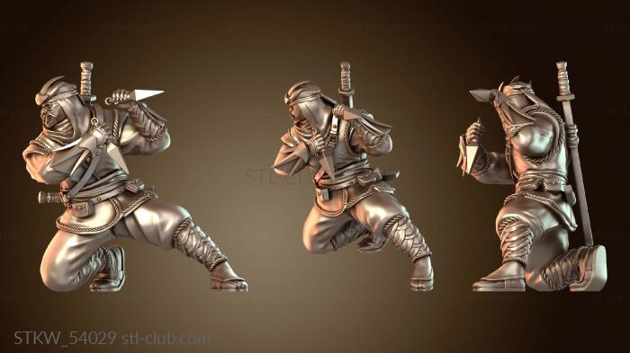 Military Убийцы Железных Теней бдительны