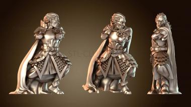 3D модель ПОСЛЕДНИЙ МЕЧ Пеший Кастелян Каликс Хранитель Герой (STL)