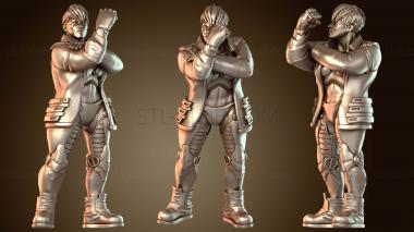 3D модель КИБЕР-БЛЕР ОНТАРИО (STL)