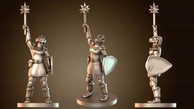 3D модель Паладин Женщина Драконорождённый Паладин Жрец (STL)