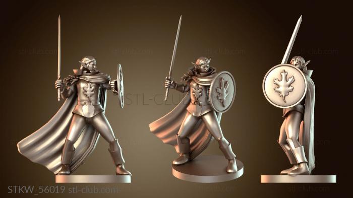 Military Паладин Женский Фирболг Паладин