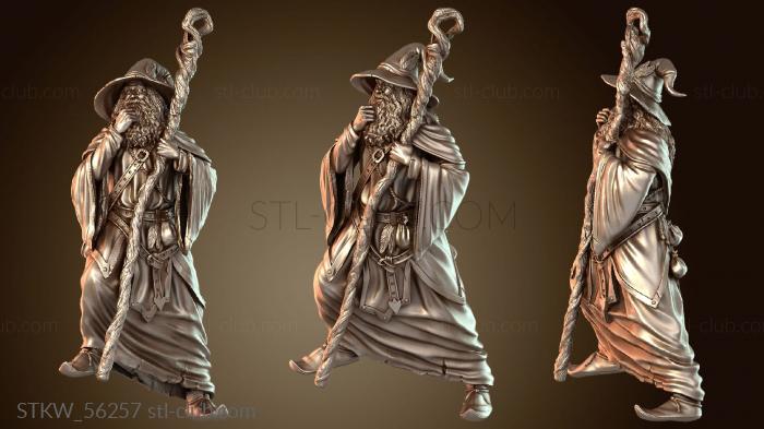 Первичный линус