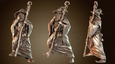 3D модель Первичный линус (STL)