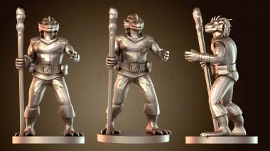 3D модель Волшебники Драконорожденные Друиды (STL)