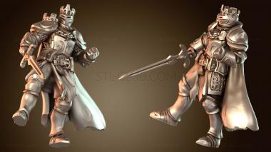 3D модель Церемониал King Armor (STL)