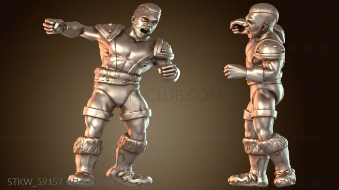 Линейный обходчик W Sentinel