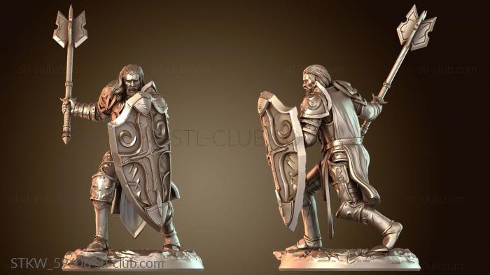 Паладин-мужчина