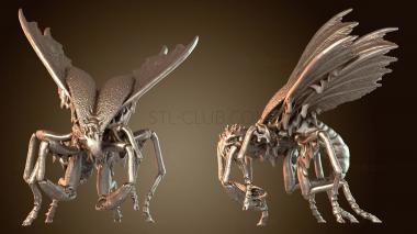 3D модель Ми го ноги Назад (STL)