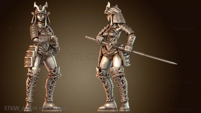 Самурай-самолёт отважный