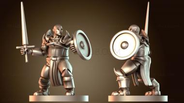 3D модель Паладин Лысый Меч и Щит Паладин (STL)