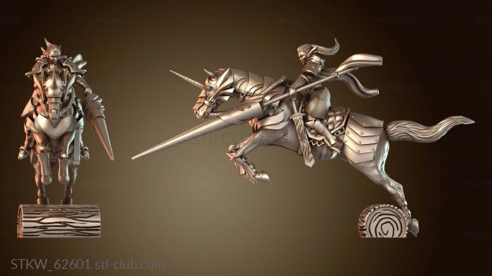 Military Королевская гвардия, женщина-рыцарь, отважная