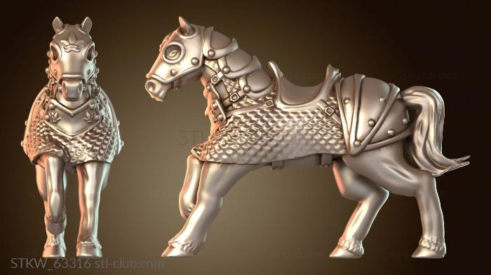 Всадник-мужчина, боевой кот