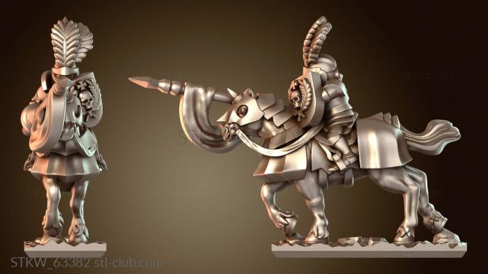 Military Рыцари Риксгвардии Рыцарь-хранитель