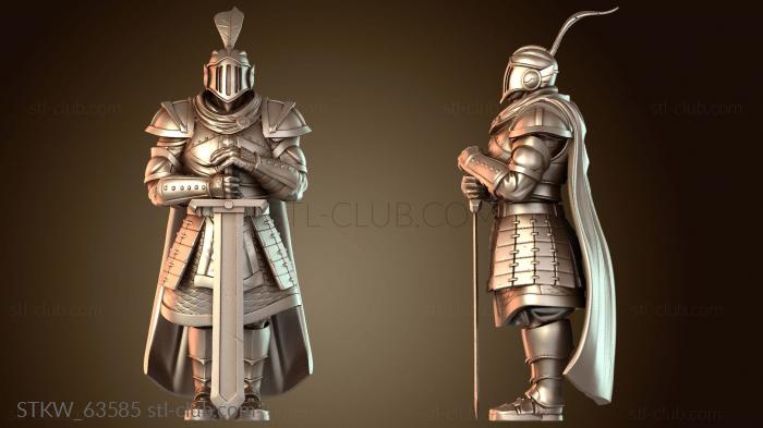 Чемпион королевской придворной гвардии